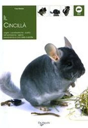 CINCILLA' (IL)