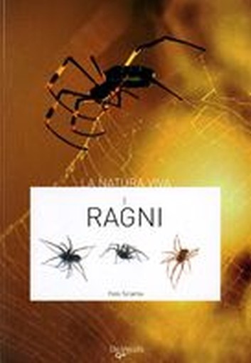 RAGNI (I) Sciama Yves