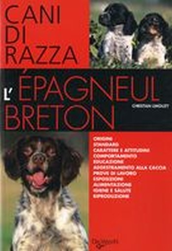 ESPAGNEUL BRETON (L')