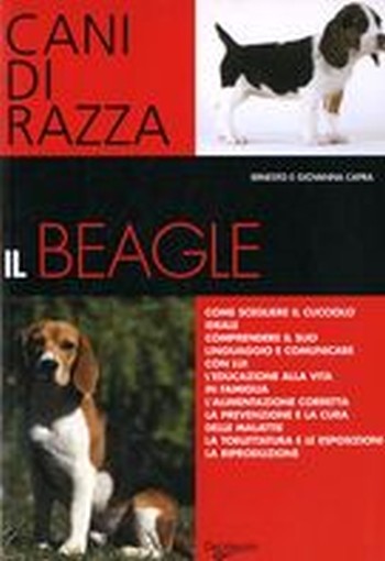 BEAGLE (IL)