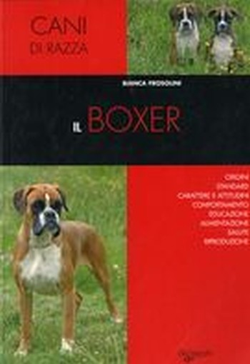 BOXER (IL)