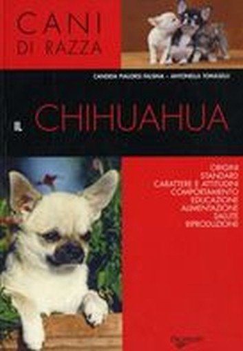 CHIHUAUA (IL)
