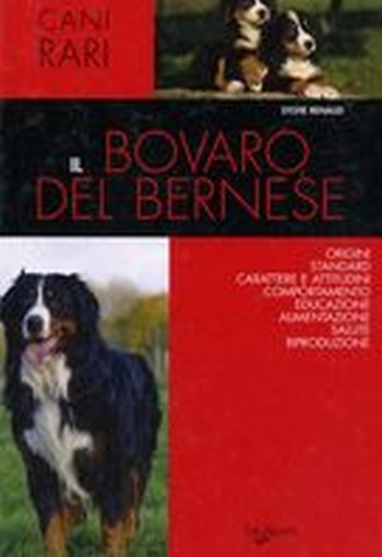 BOVARO DEL BERNESE (IL)
