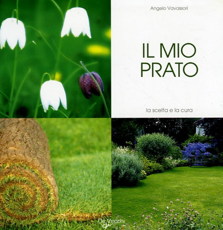 MIO PRATO (IL)