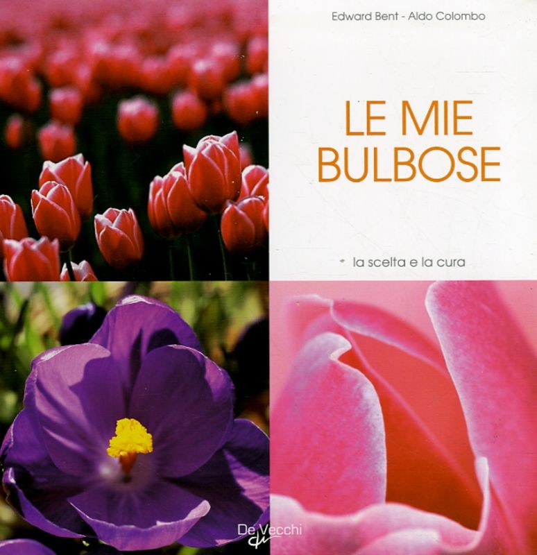 MIE BULBOSE (LE)