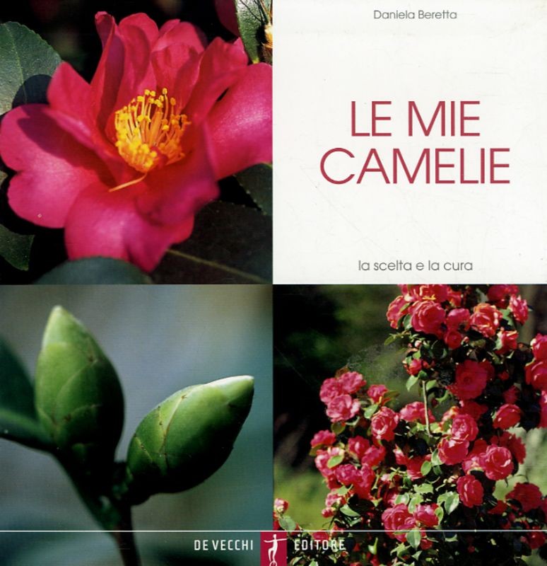 MIE CAMELIE (LE)