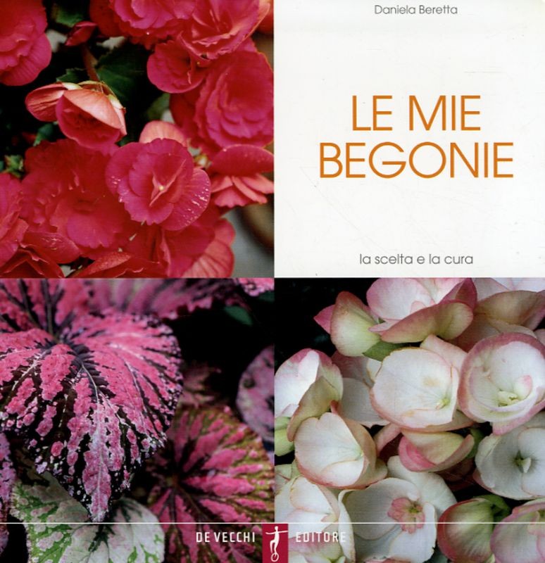 MIE BEGONIE (LE)