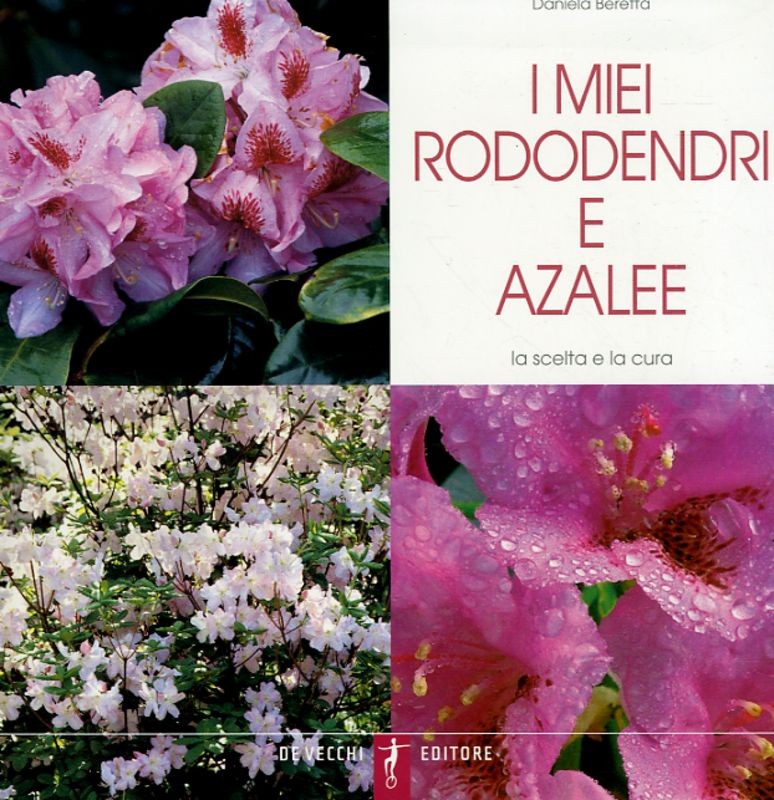 MIEI RODODENDRI E AZALEE (I)