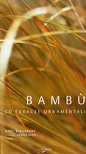 BAMBU' ED ERBACEE ORIENTALI