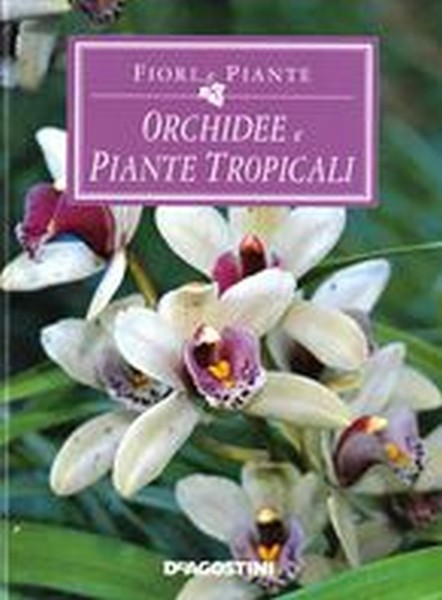 ORCHIDEE E PIANTE TROPICALI