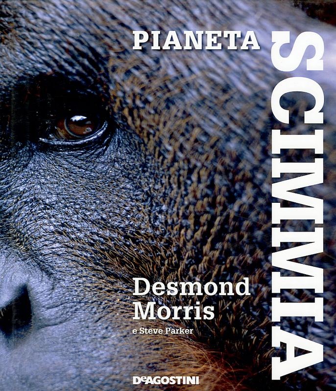 PIANETA SCIMMIA