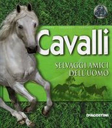 CAVALLI