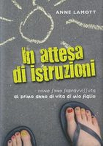 IN ATTESA DI ISTRUZIONI Lamott Anne