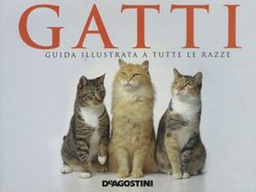 GATTI aa.vv