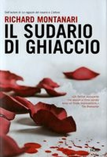 SUDARIO DI GHIACCIO (IL)