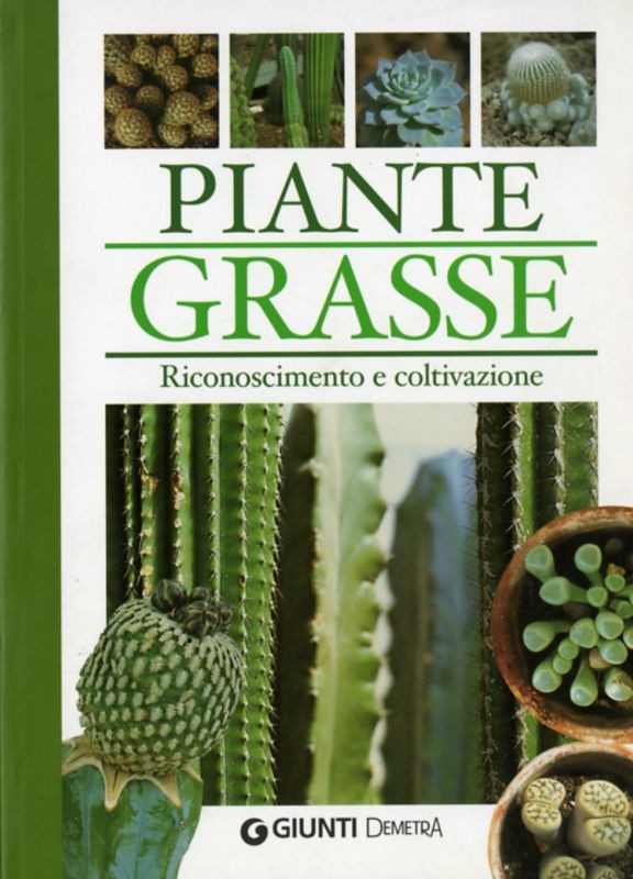 PIANTE GRASSE