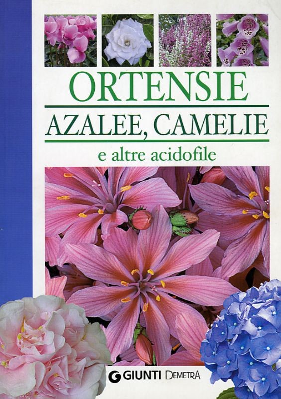 ORTENSIE AZALEE CAMELIE E ALTRE ACI