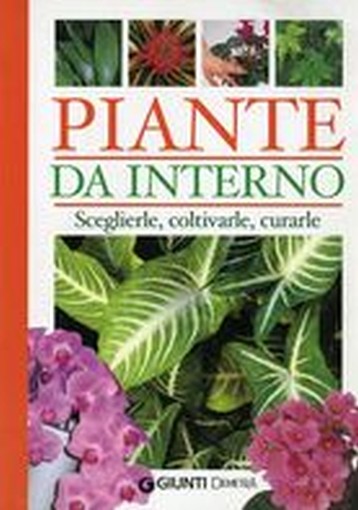 PIANTE DA INTERNO