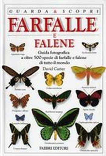FARFALLE E FALENE