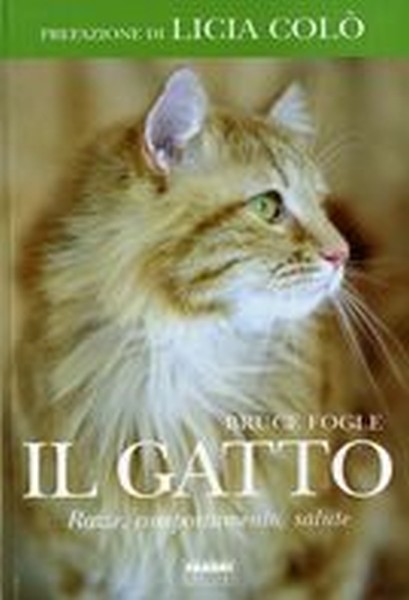 GATTO (IL)