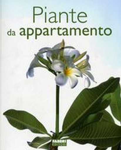 PIANTE DA APPARTAMENTO