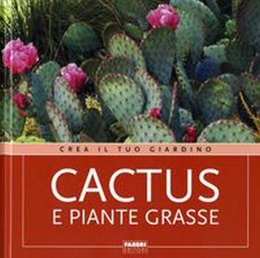 CACTUS E PIANTE GRASSE