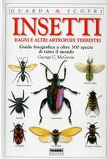 INSETTI