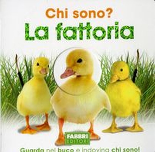 CHI SONO ? LA FATTORIA