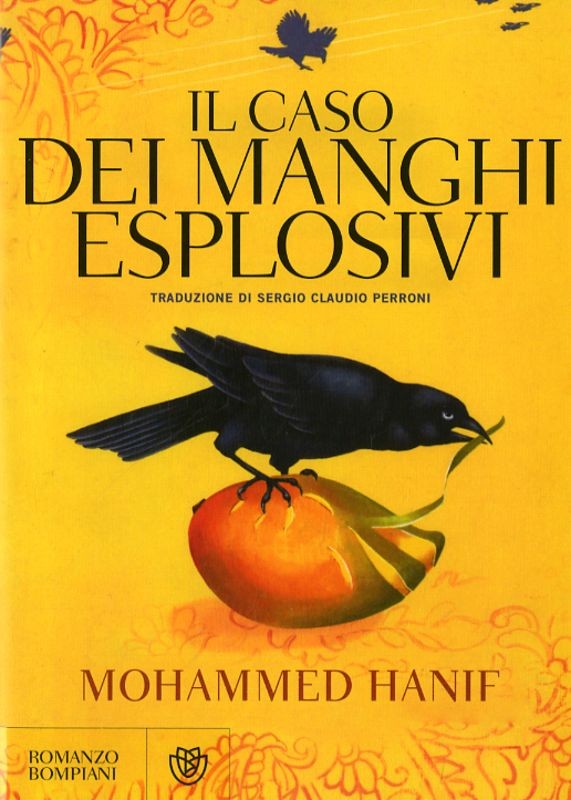 CASO DEI MANGHI ESPLOSIVI (IL)