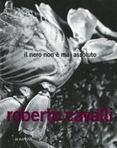 NERO NON E'MAI ASSOLUTO (IL)
