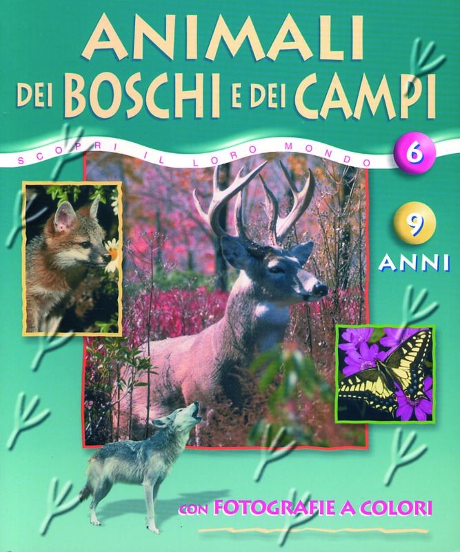ANIMALI DEI BOSCHI E DEI CAMPI 6/9A