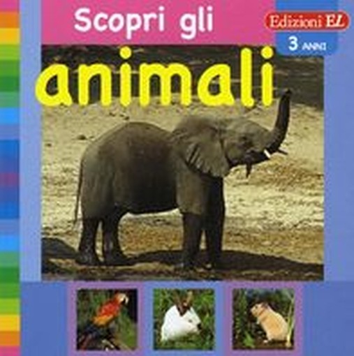 SCOPRI GLI ANIMALI ELEFANTE