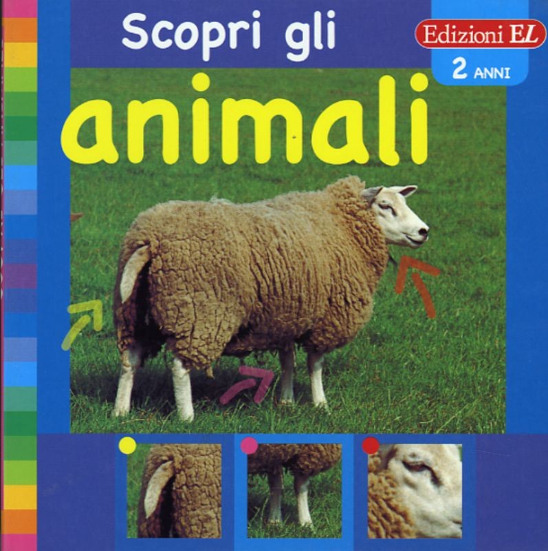 SCOPRI GLI ANIMALI PECORA