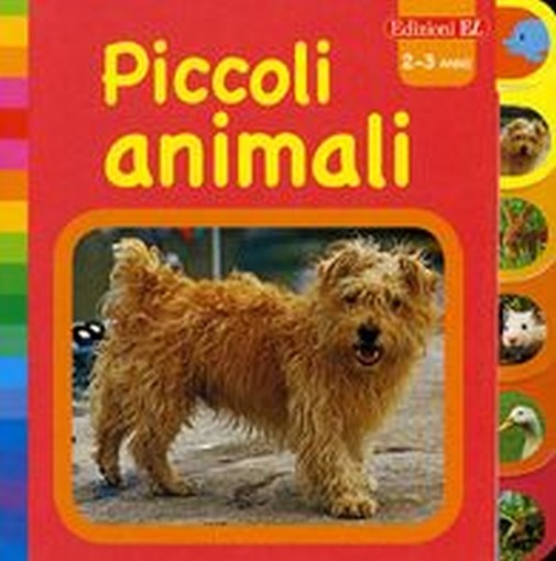 PICCOLI ANIMALI