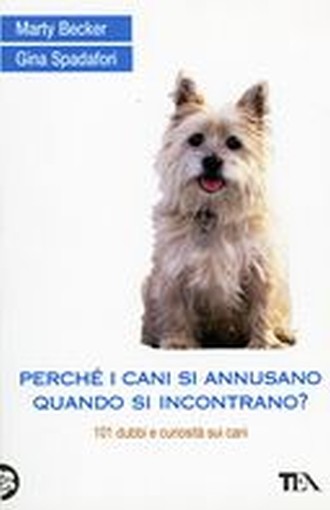 PERCHE' I CANI SI ANNUSANO QUANDO S
