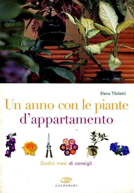 ANNO CON LE PIANTE D'APPARTAMENTO