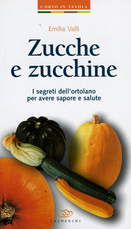 ZUCCHE E ZUCCHINE