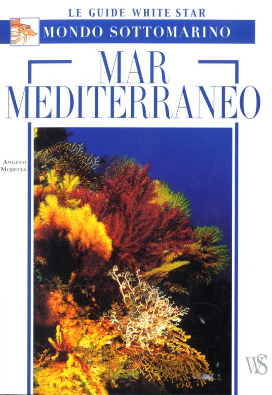 MAR MEDITERRANEO