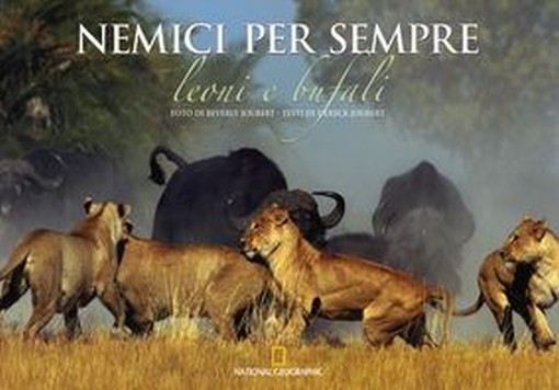 NEMICI PER SEMPRE LEONI E BUFALI