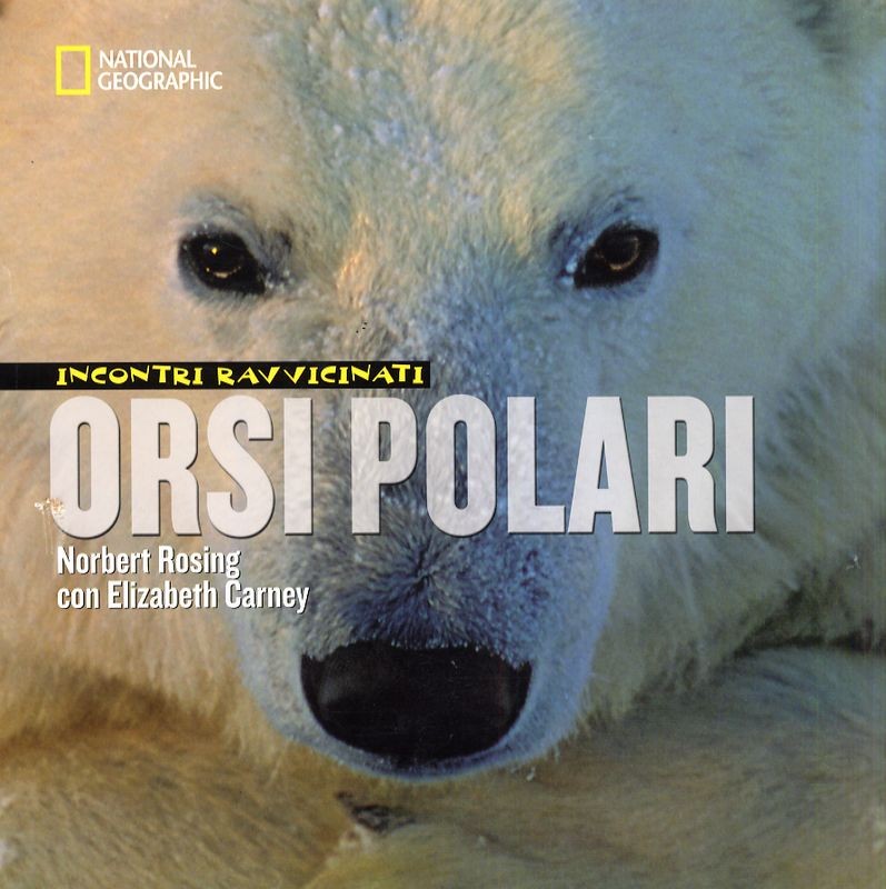 INCONTRI RAVVICINATI ORSI POLARI
