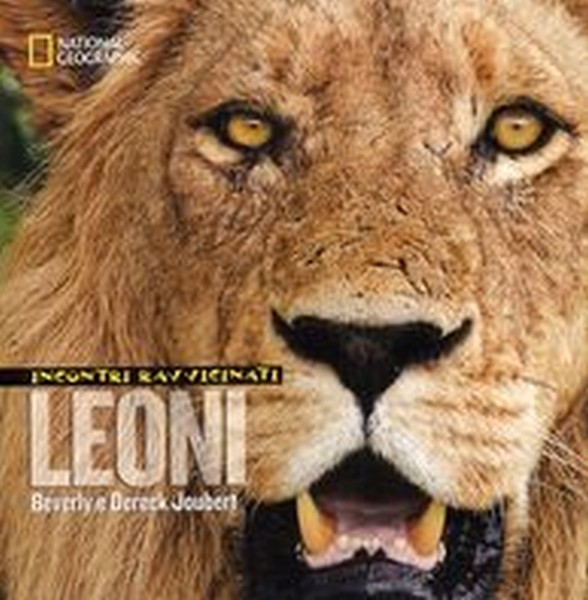 INCONTRI RAVVICINATI LEONI