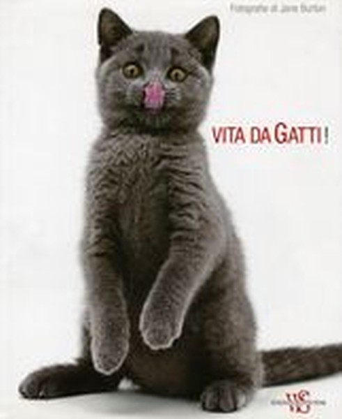 VITA DA GATTI