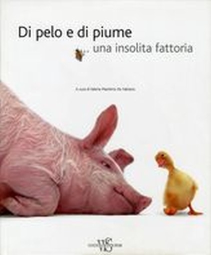 DI PELO E DI PIUME...UNA INSOLITA F