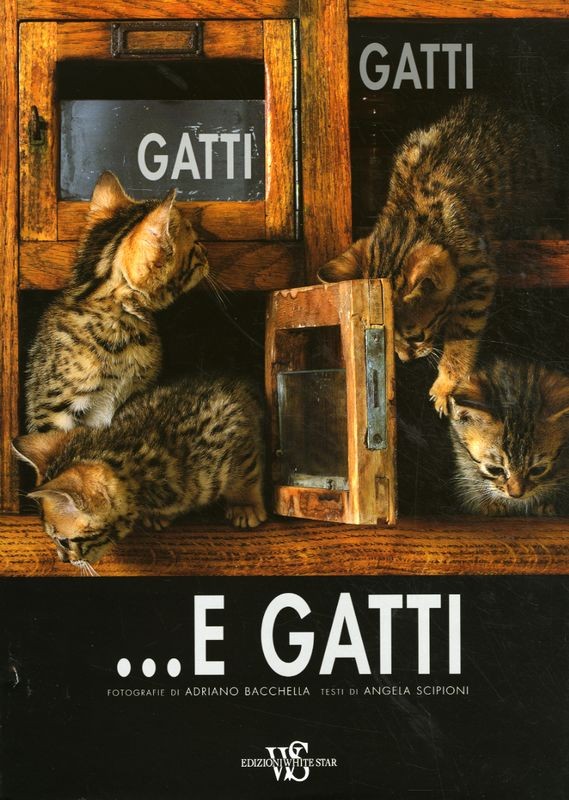 GATTI GATTI ... E GATTI