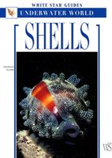 SHELLS