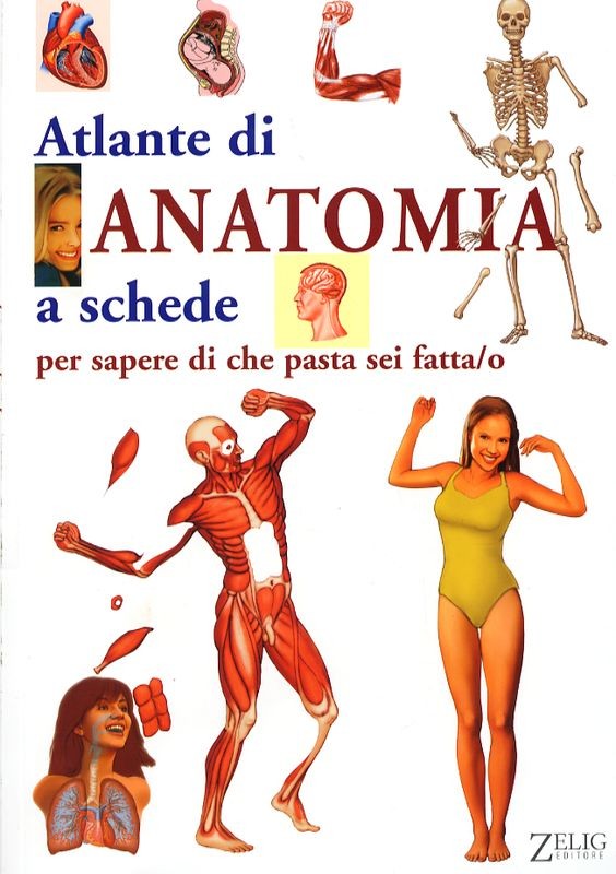 ATLANTE DI ANATOMIA A SCHEDE