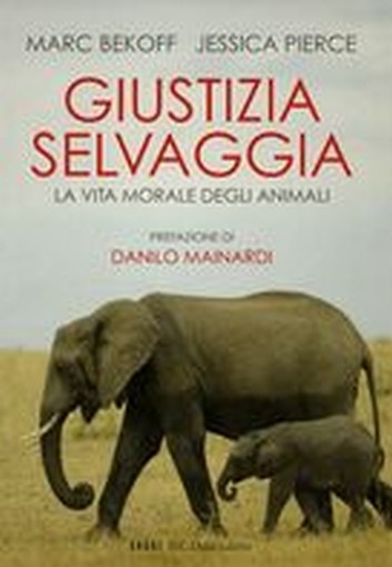 GIUSTIZIA SELVAGGIA