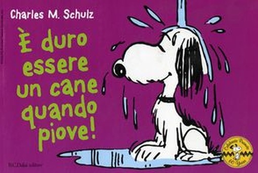E' DURO ESSERE UN CANE QUANDO PIOVE