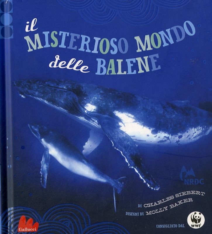 MISTERIOSO MONDO DELLE BALENE (IL)