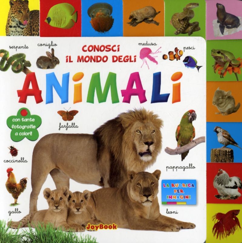 CONOSCI IL MONDO DEGLI ANIMALI